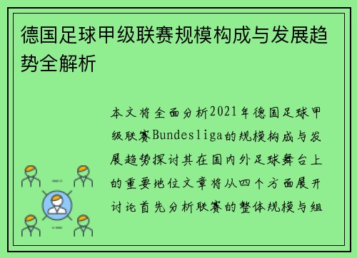 德国足球甲级联赛规模构成与发展趋势全解析